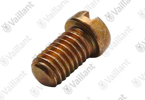 Vaillant Membranschraube mit gewinde, leicht rostig, auf weißem Hintergrund. Die Schraube hat eine Kopfform mit einer Schlitznut für einen Schraubendreher.